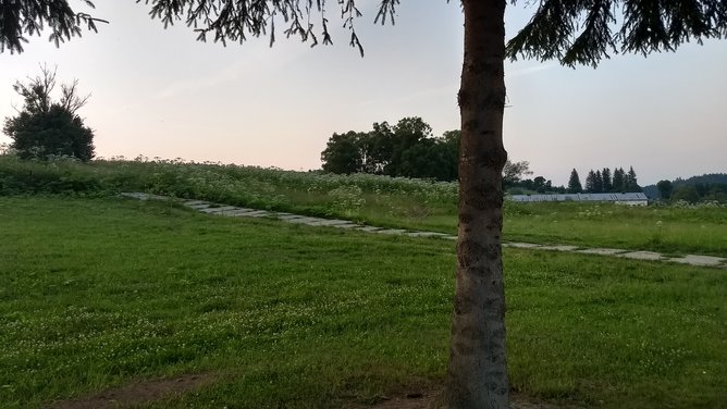 IMG_20180619_201559593_HDR.jpg