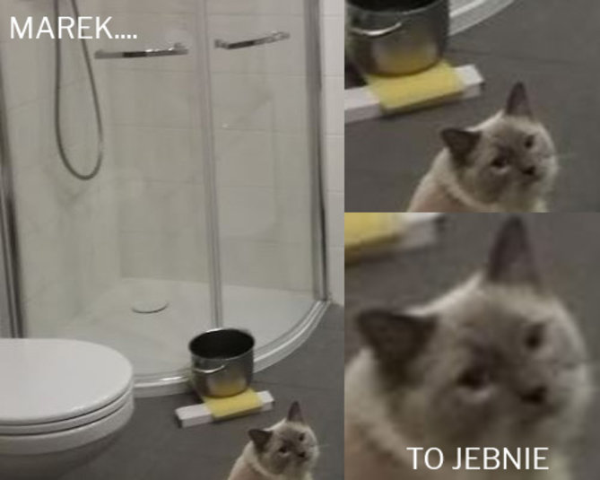 Bez nazwy 1.jpg