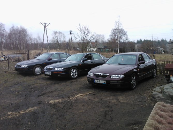 WP_000050.jpg