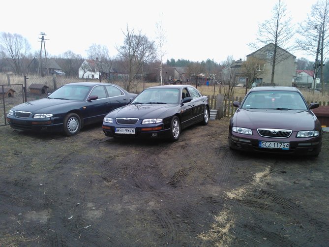 WP_000051.jpg
