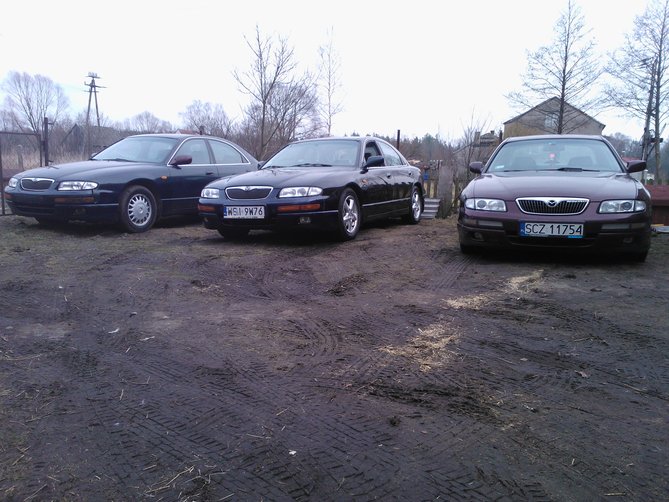 WP_000052.jpg