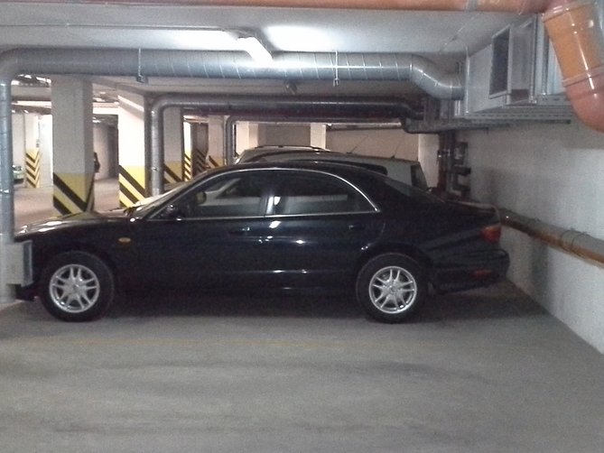 WP_000250.jpg