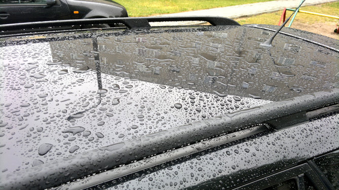 20130626_070836.jpg