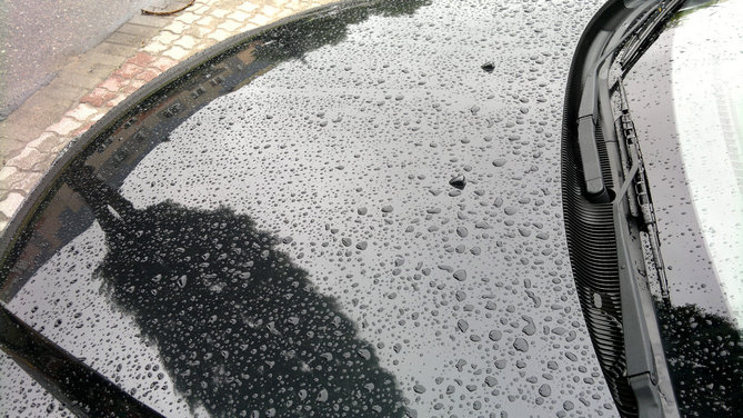 20130626_070846.jpg