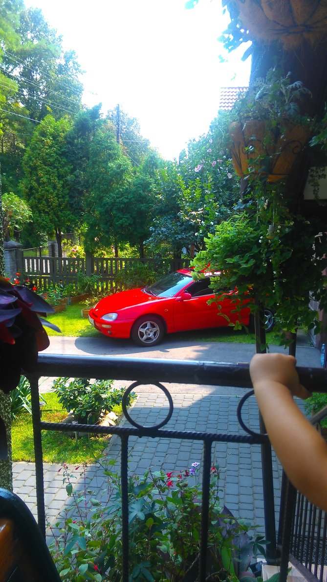 IMAG3071.jpg