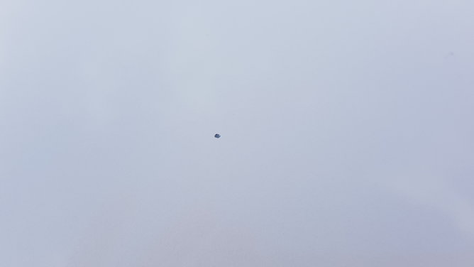 20181028_110214_003.jpg