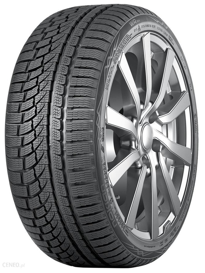 i-nokian-wr-a4-205-55r17-95v-xl.jpg