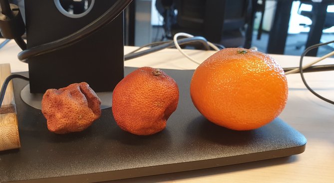20190206_114516.jpg