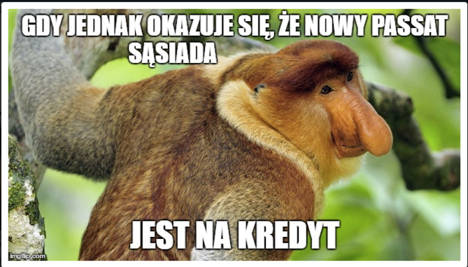 Zrzut ekranu 2019-02-18 09.12.35.png