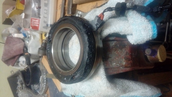 20190329_091823.jpg