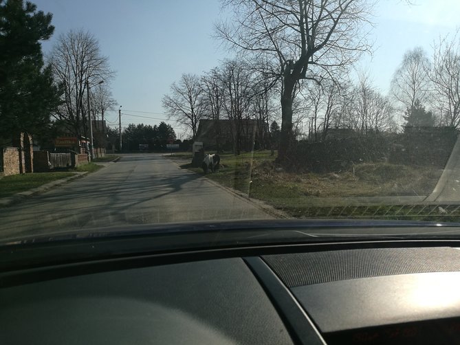 IMG_20190402_094930_1.jpg