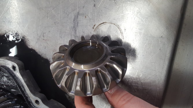 20190409_172444.jpg