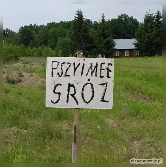 gróz.jpg