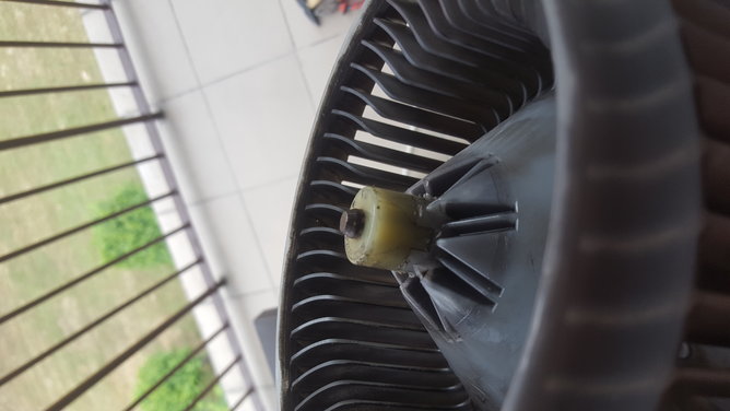 20190710_143351.jpg