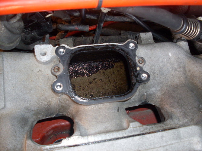 SDC10157.JPG