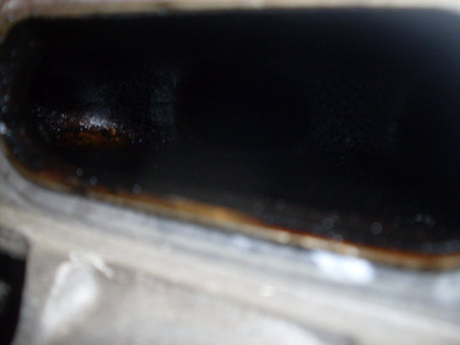 SDC10160.JPG