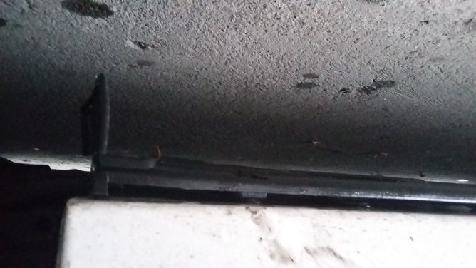 20191005_154718.jpg