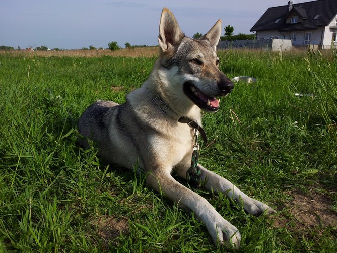 20130530_174950.jpg