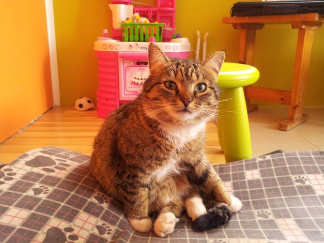 20130404_142415.jpg