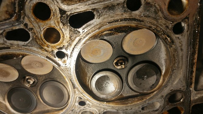 20200331_202318_HDR.jpg