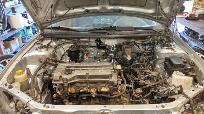 20200423_151535_HDR.jpg