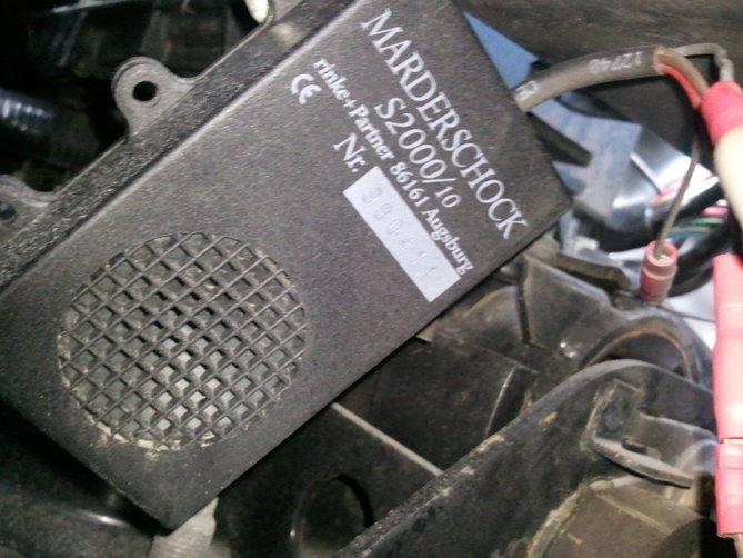 20130811_193802.jpg