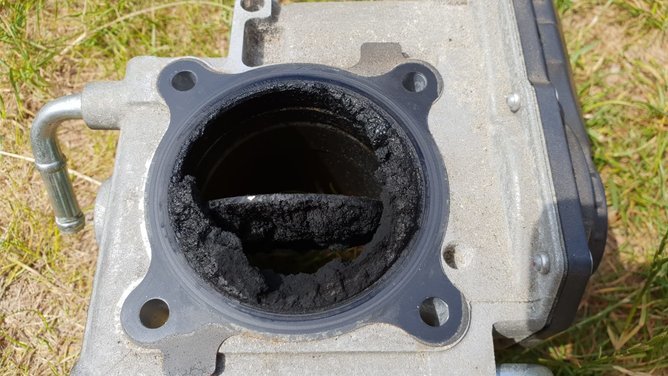 5eb6e81c-cbaa-4f9f-9aec-139ff35dffe3.jpg (229.18 KiB) Przeglądane 4923 razy 5eb6e81c-cbaa-4f9f-9aec-139ff35dffe3.jpg