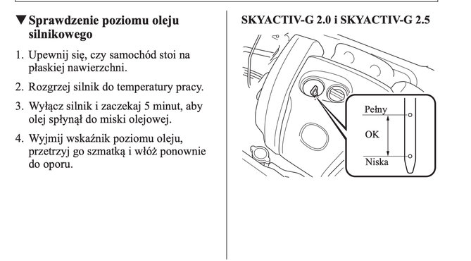 poziom oleju.jpg