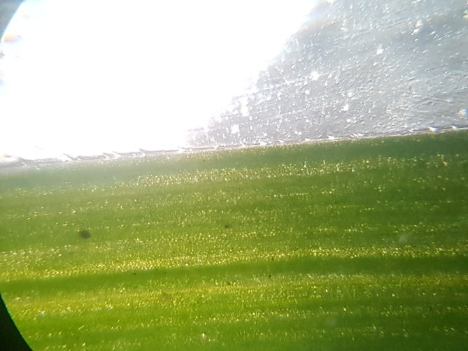 20210907_185139.jpg