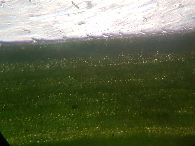 20210907_185002.jpg