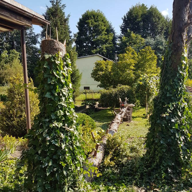 20210910_003053.jpg