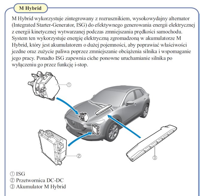 mhybrid.jpg