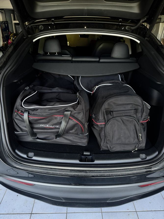 tesla_bags.jpg