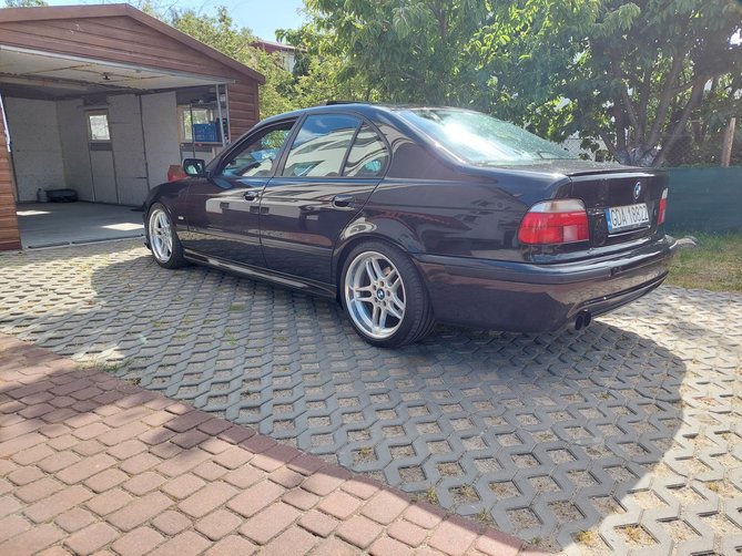 bmwbmw2.jpg