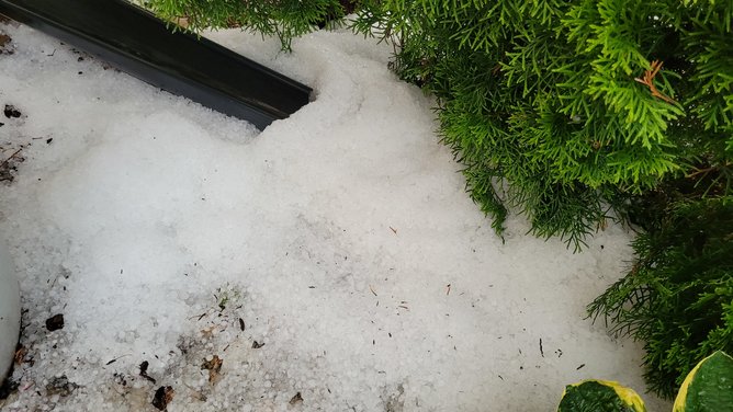 20230627_184956.jpg