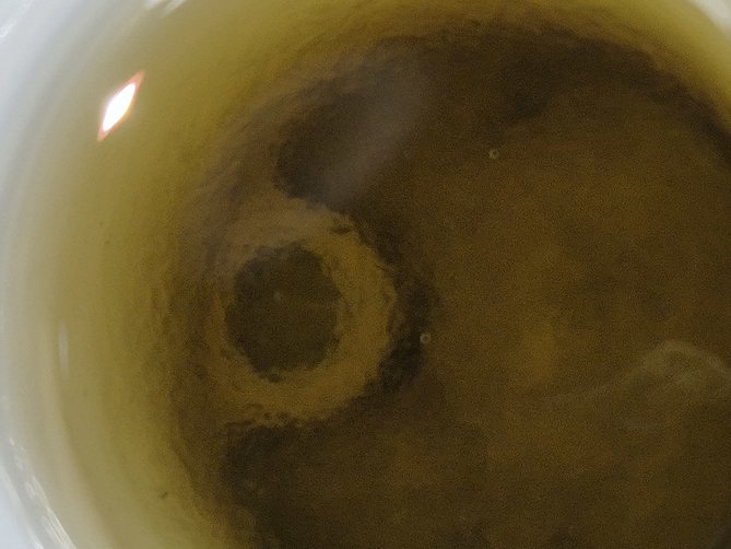 20250419_171402.jpg