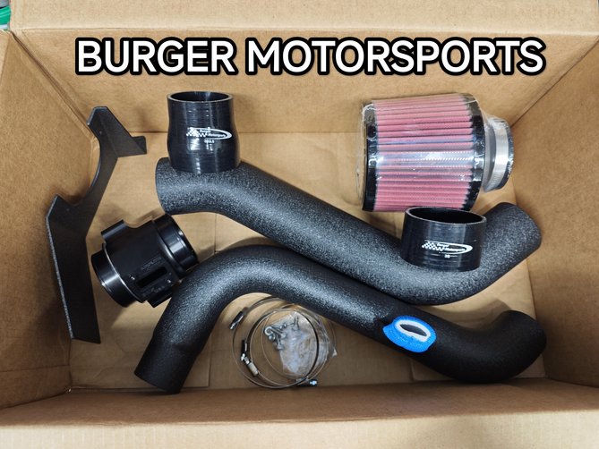 dolot BMS.jpg