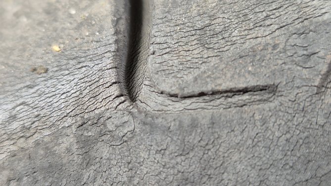 20251002_130942.jpg