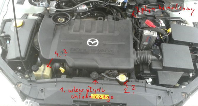 q.png