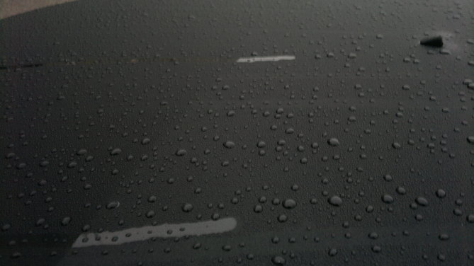 20131014_071211.jpg