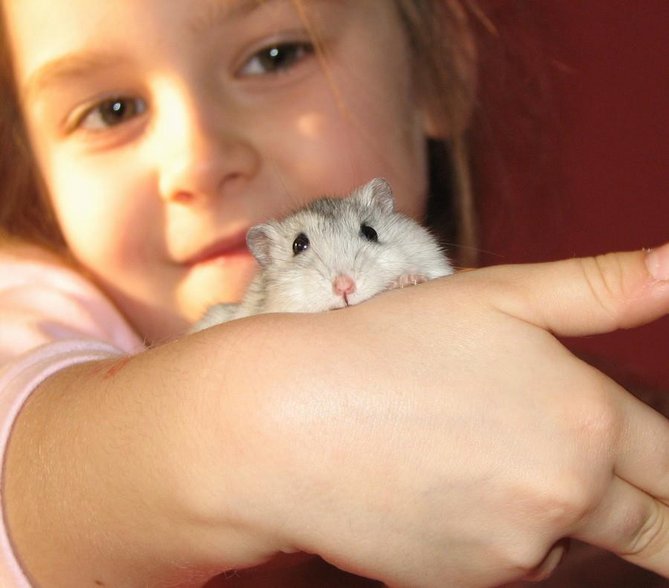 Fifi.jpg