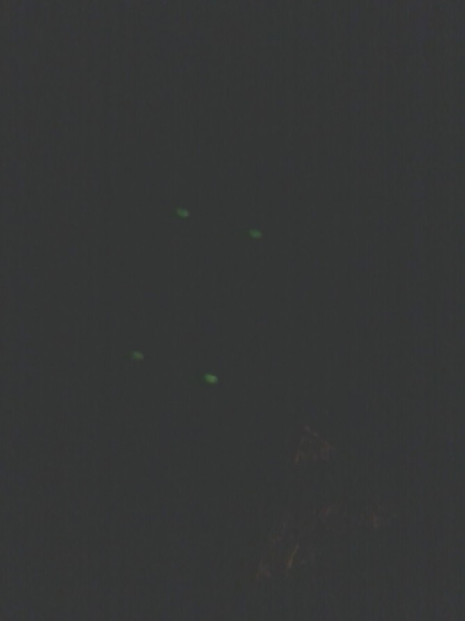 20131104_220753.jpg