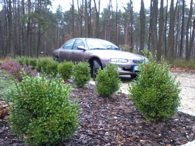 20131105_134507.jpg