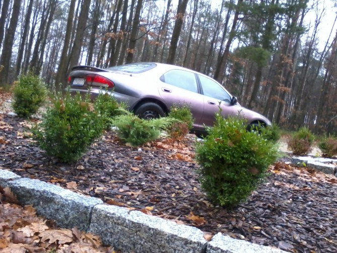 20131105_134625.jpg