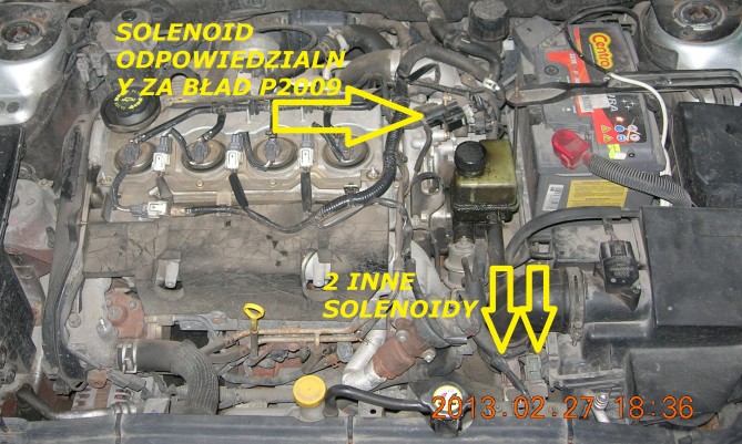 LOKALIZACJA SOLENOIDÓW.jpg