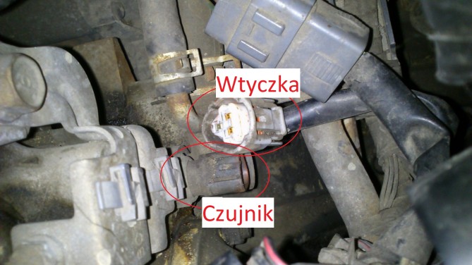 czujnik.jpg