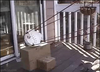 nieproszony.gif