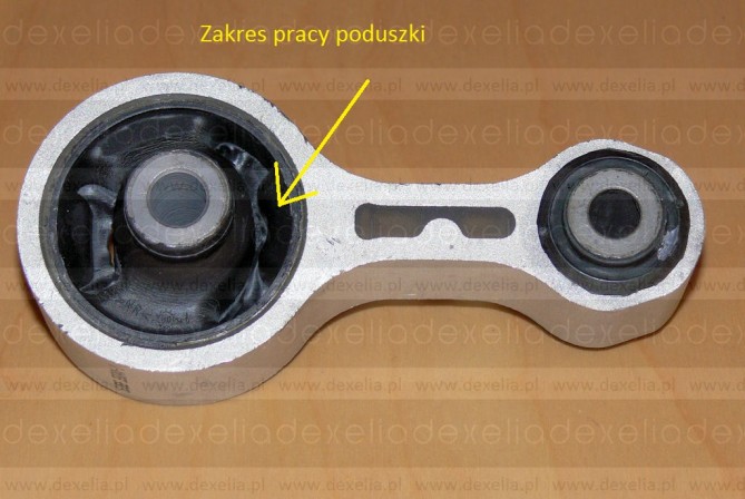 P1120600.jpg