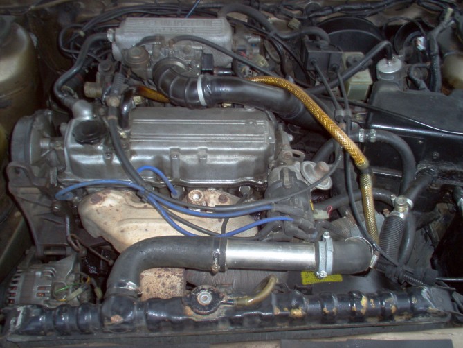 2199eeb0e328ef2d.jpg