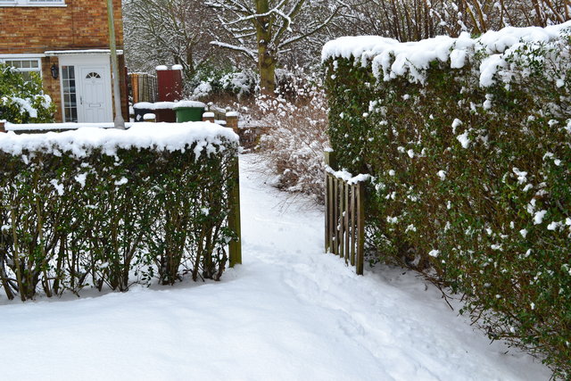 DSC_0045.JPG
